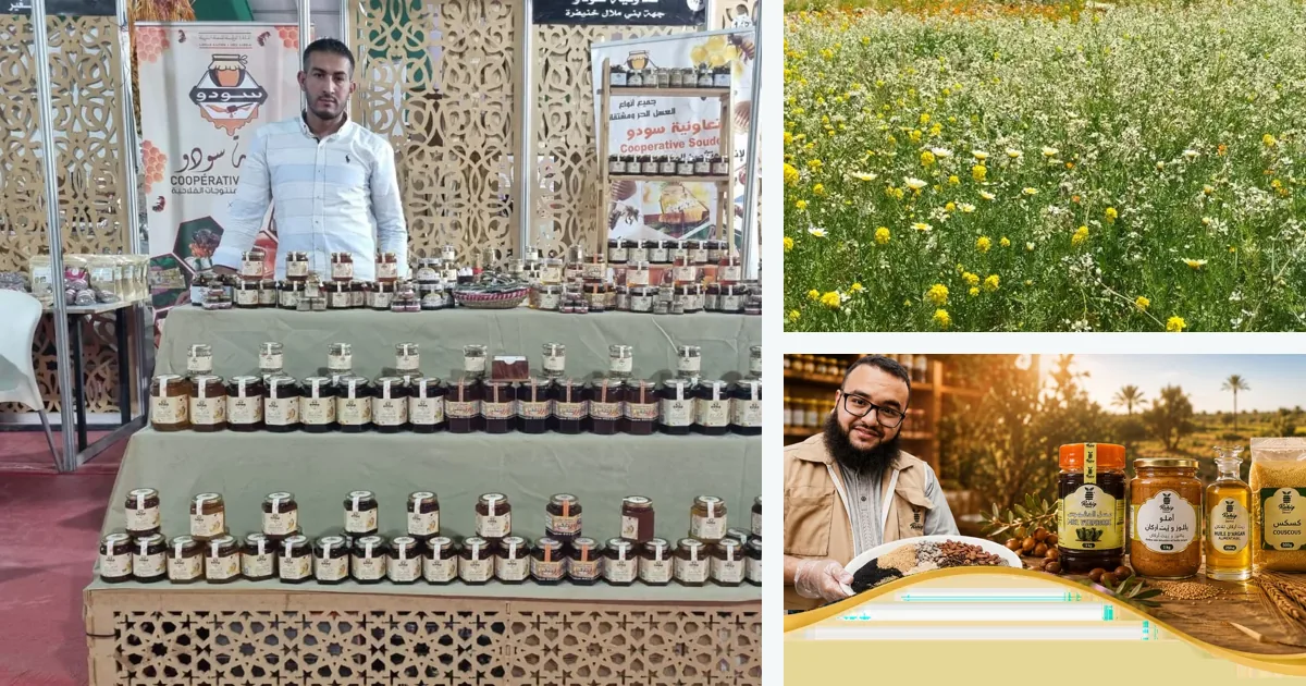 Apiculture & miel au Maroc, illustration de la catégorie sur MarocPros