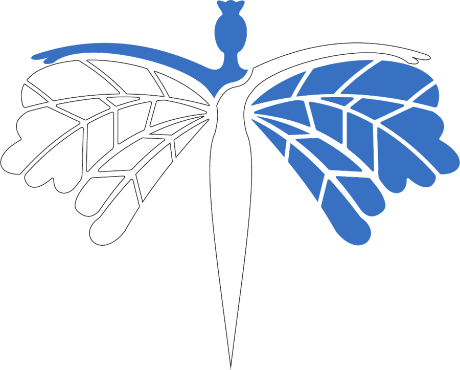 Logo Cabinet Esthétique Nouha