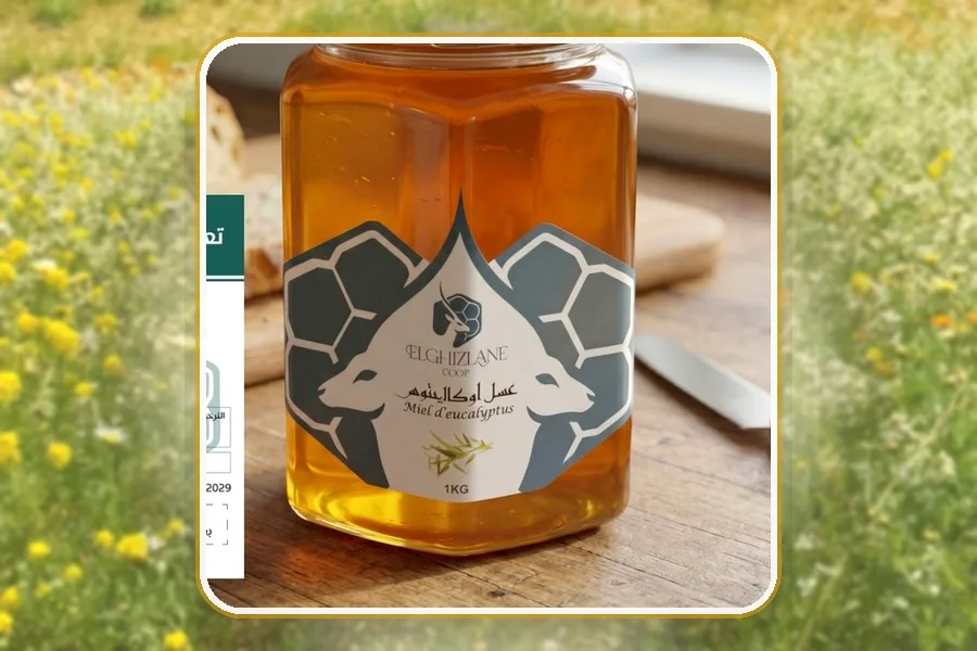 Miel d’Eucalyptus — Coopérative EL GHIZLANE