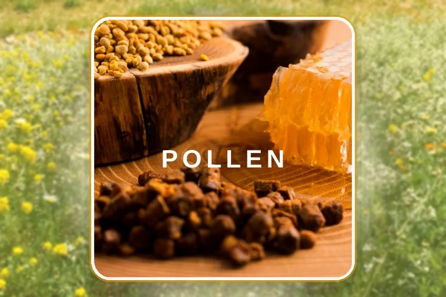 Pollen — Coopérative EL GHIZLANE