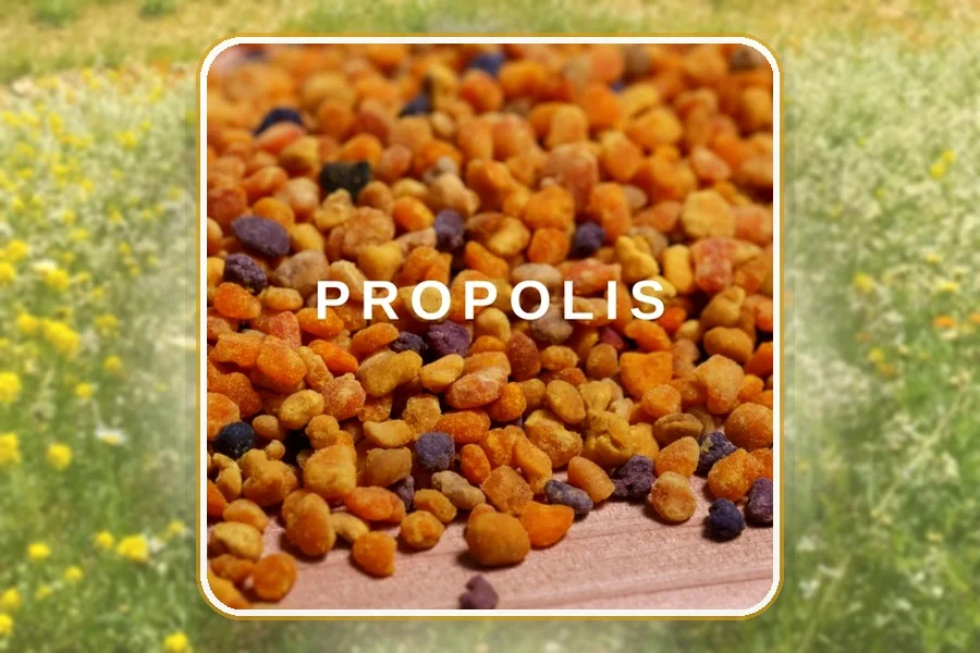 Propolis — Coopérative EL GHIZLANE